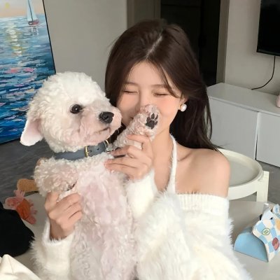 阿丽塔:战斗天使