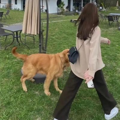 瑞奇·托格纳兹